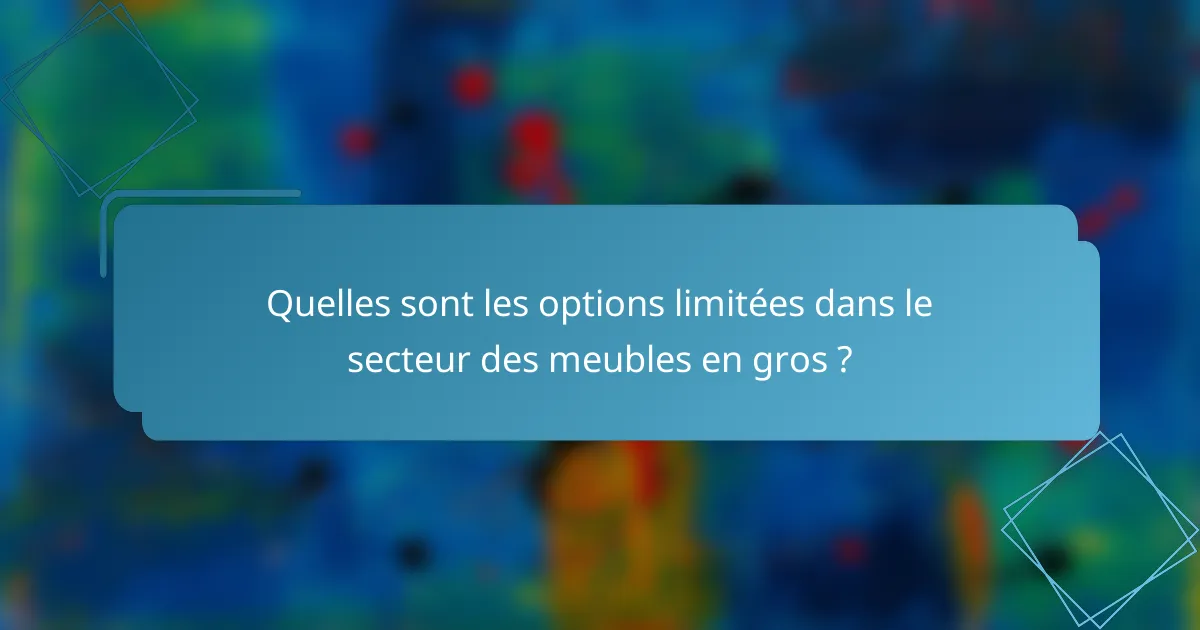 Quelles sont les options limitées dans le secteur des meubles en gros ?